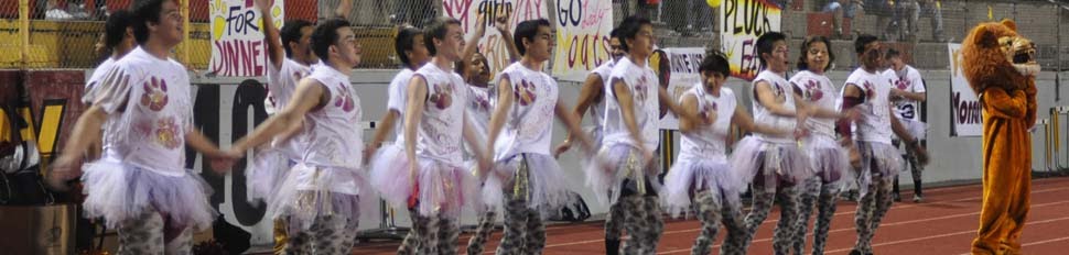 Boys Wearing cheerleader Costume 